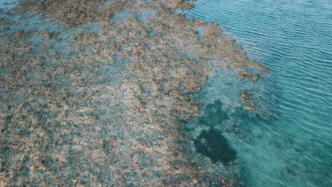 Riff on low tide. Beach at sunset time. Stock Footage 106913691