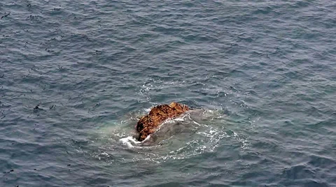 Riff sea HD Video stock 30461170