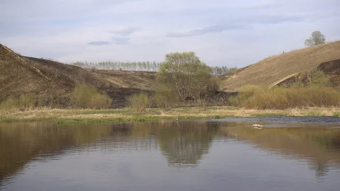 Riffle on river stream at spring, 4K 2160p video clip Stock Footage 85989767