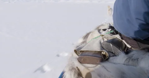 Rifle butt exposed on moving sled Stock Footage 138236318