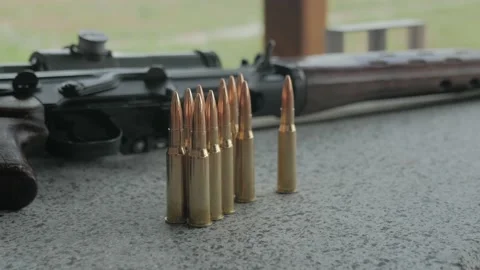 Rifle cartridges at the shooting range Stock Footage 194795686