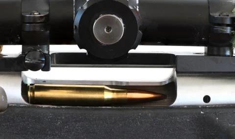 Rifle Stock Photos