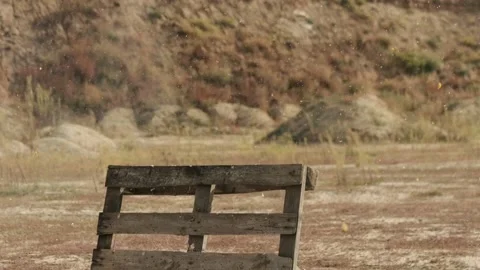 Rifle shoot pumpkin explode. Pumpkin exploding after shot with a high powered Stock Footage 169292780