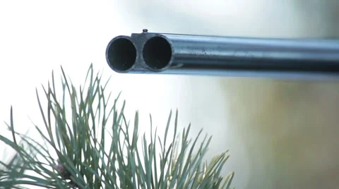 Rifle shoots Stock Footage 45319958