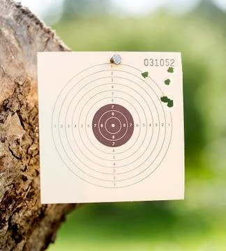 Rifle target Stock Photos