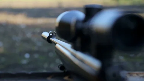Rifle target view Stock Footage 86916615