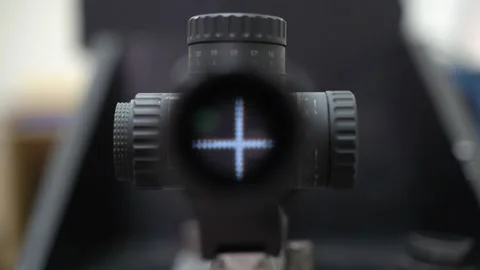 The rifle tracking optical sight fabric. Hunting view from a first-person sight Video stock 169800176