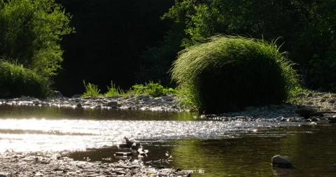 Rifts in a small Stock Footage 132339869