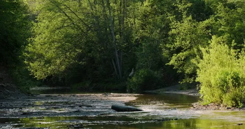 Rifts in a small mountain river Stock Footage 132340612