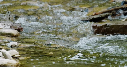 Rifts in a small mountain river Stock Footage 132342912