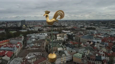 Riga gold peacock Stock Footage 153314844