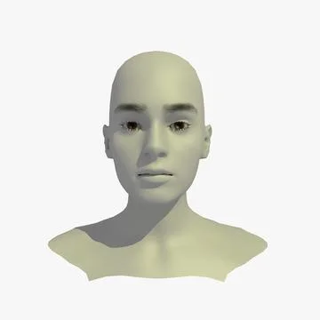 Mannequin head 3D model