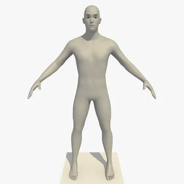 Rigged 24 Year Old European Male Base Mesh 3D Model