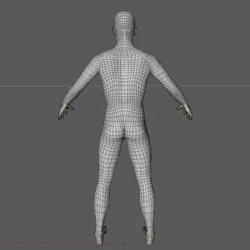 3D Model: Rigged 24 Year Old European Male Base Mesh #91529421