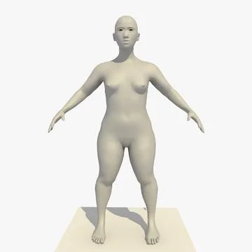Rigged 25 Year Old Dwarf Asian Female Base Mesh 3D Model