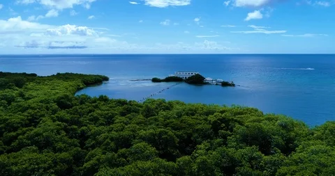 Right above mangrove forest fly in to "shipwreck" on the reef barrier of Aruba Stock-Footage 98307541