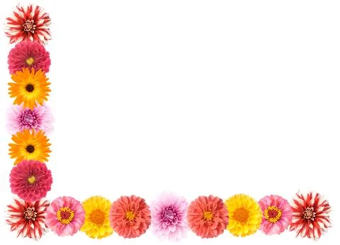 Right-angled flower border 스톡 사진