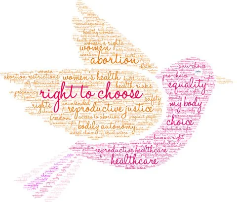 Right To Choose Word Cloud Illustrazione stock