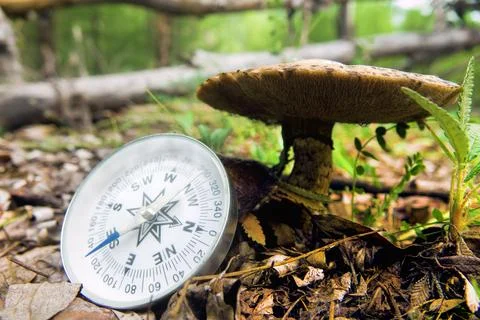 Right compass is always needed Stock Photos
