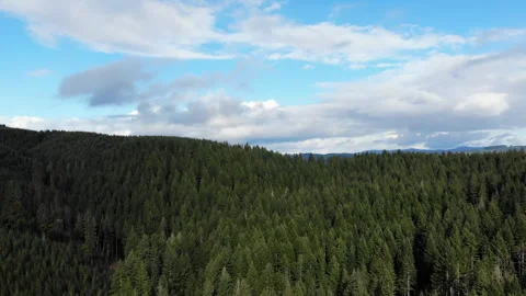 Right Curving Drone Shot of Forest with Blue Sky and Clouds Vídeos de archivo 329185809