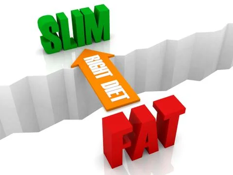 Right diet is the bridge from FAT to SLIM. Concept 3D illustration. Stock Illustration