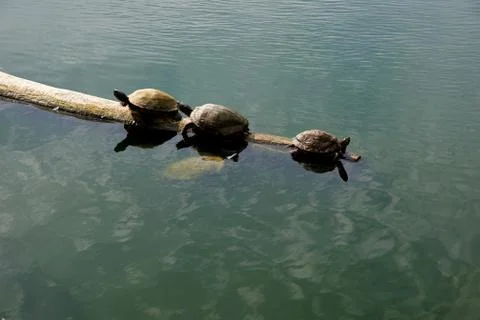 The right direction Stock Photos