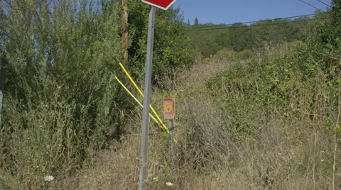 Right Front Three Quarter view of a Driving Plate: Car travels through a Stock Footage 59328353