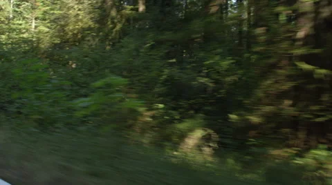 Right Front Three Quarter view of a Driving Plate: Car travels west on the Stock Footage 59510878