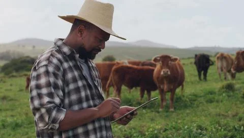 The right functionality for a farmer like me. a mature man using a digital Stockfoto's