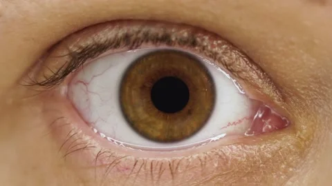 Right human eye with black dilating pupil and brown iris Stock Footage 143653492