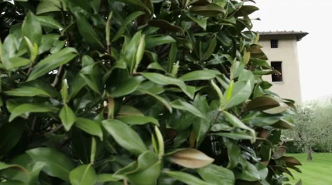 Right to left glide reveals old villa in Tuscany with Canon 1Dc Stock Footage 51799093