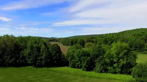 Right to Left Pan of Cornfield and Trees Video stock 78210762