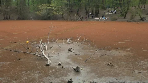 Right to left pan on a red beautiful lagoon in the middle of a forest Stock Footage 97034057