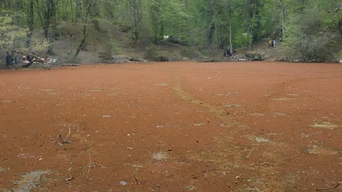 Right to left pan on a red beautiful lagoon in the middle of a forest Stock Footage 97034139