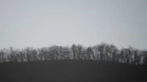 Right to Left Pan of Trees in the Appalachian Mountains During the Day Stock Footage 332381959
