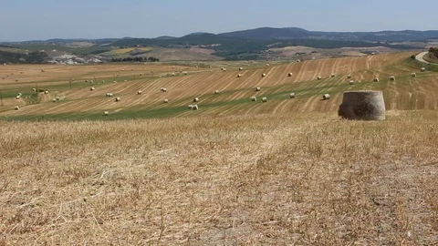 Right-left pan view of a field full of grain bales in the Tuscany countryside Stock Footage 76596283