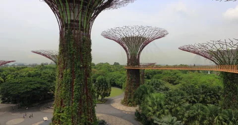 Right to left panning motion of The Gardens by the Bay, Singapore Stock Footage 275625424