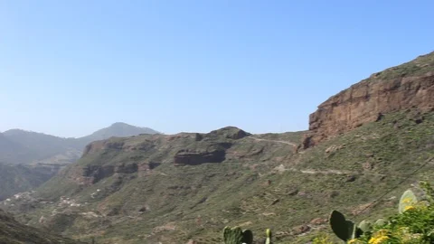 Right-Left Panoramic View of  vegetation Stock Footage 99152199