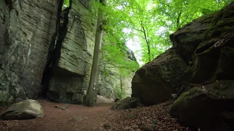 Right-to-left shot along a wide forest path from Teufelslucht (Devil's Gorge) Video stock 310283228