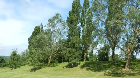 Right to left track along trees on a golf course. Stock Footage 288011829