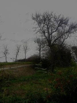 Right look from path Stock Photos