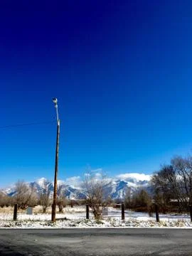 Right In My Backyard Stock Photos