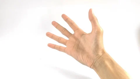 The Right Palm of A Man Stock Footage 296566174