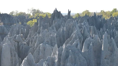 Right Pan Limestone Forest Peaks at Sunrise, Tsingy de Bemaraha, Madagascar Stock Footage 117513407