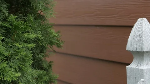 Right Pan of Red Siding and Green Foliage with Rack Focus Stock-Footage 100899437