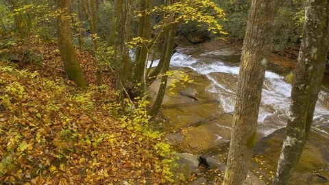 A right panning drone shot over a cascading river. Stock Footage 119036659