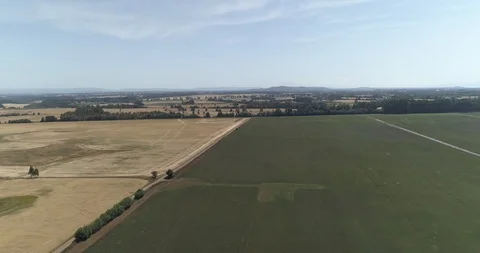 Right panning of fields Stock Footage 124858207