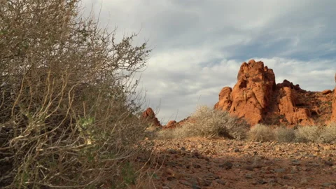 Right panning, low angle shot of desert shrubs a red rocks. Stock Footage 155745773