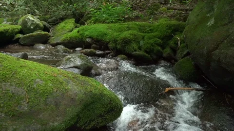 Right panning mountain stream Stock Footage 112146915