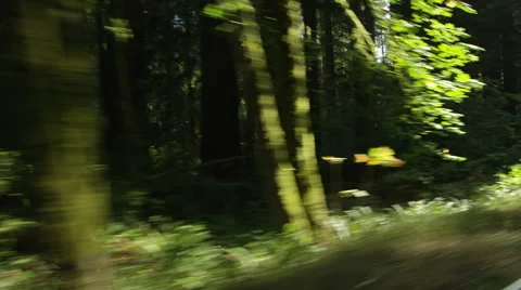 Right Rear Three Quarter view of a Driving Plate: Car travels west on the Stock Footage 59510922